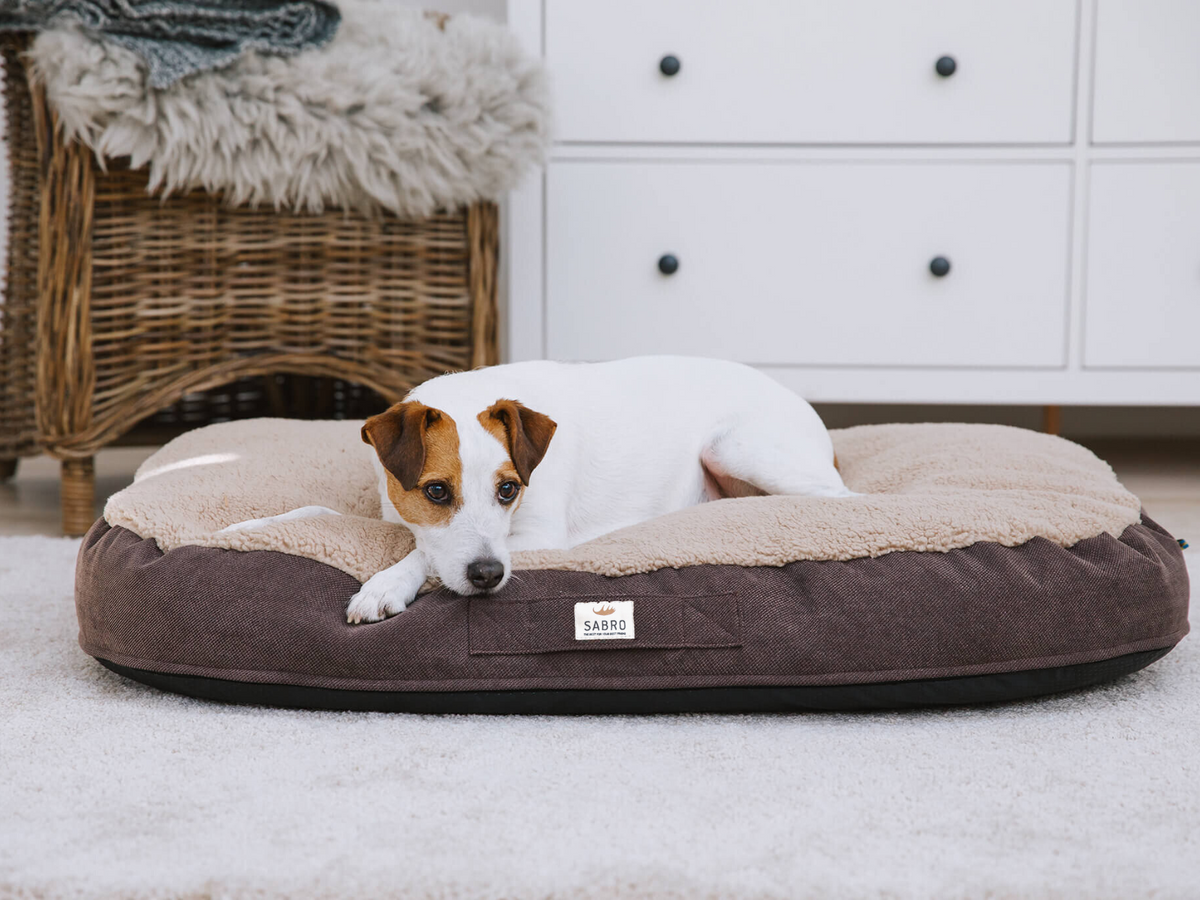 FLUFFA dog bed