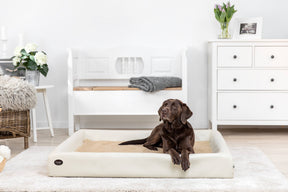 Dog bed KUDDE imitation leather B-goods