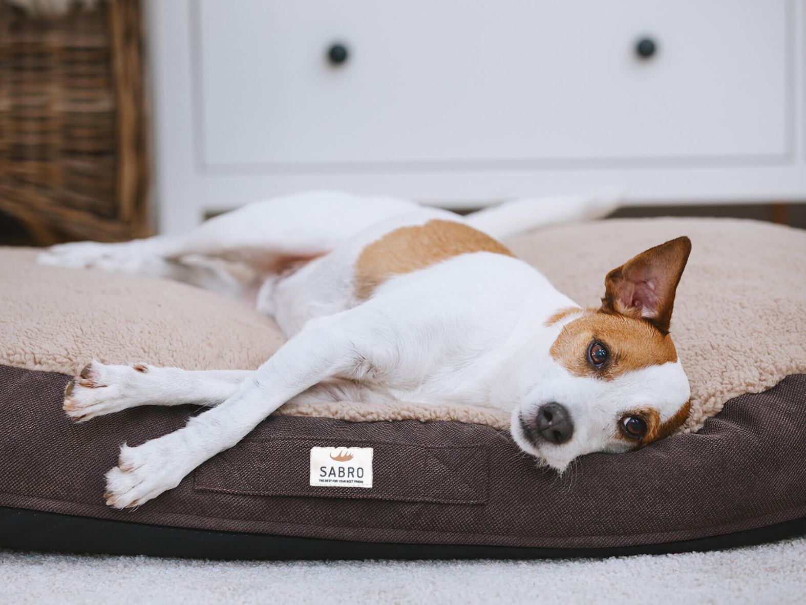 Fluffa dog bed