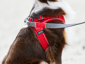 V2 Urban Trail Leash