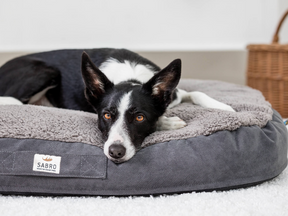 Fluffa dog bed