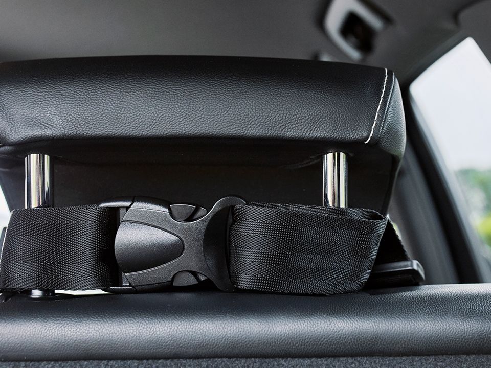 Car seat for dogs RIDA