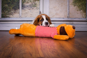 Cuddly dog TOMTE
