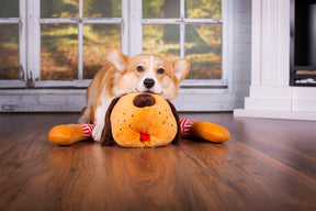 Cuddly dog TOMTE