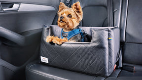 RIDA car seat for dogs