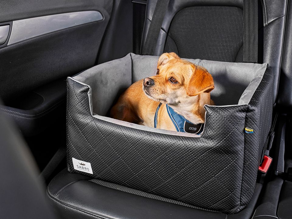 Car seat for dogs RIDA