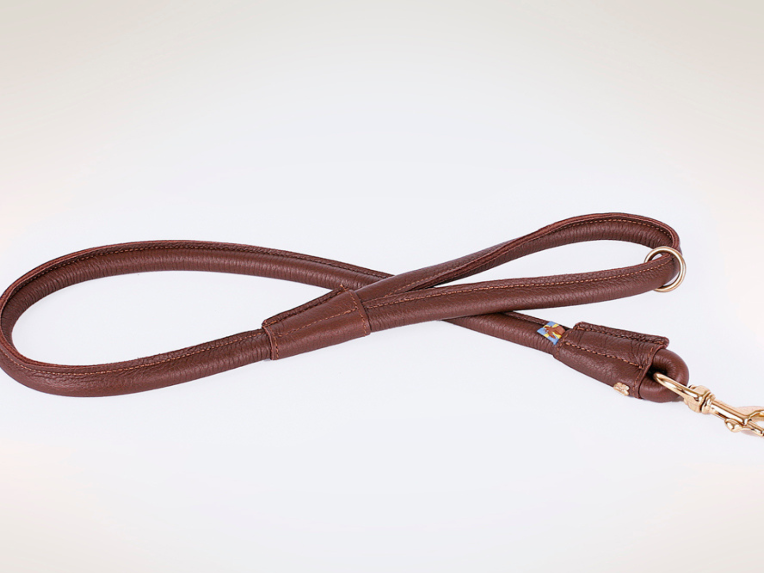 Classic leash with hand loop