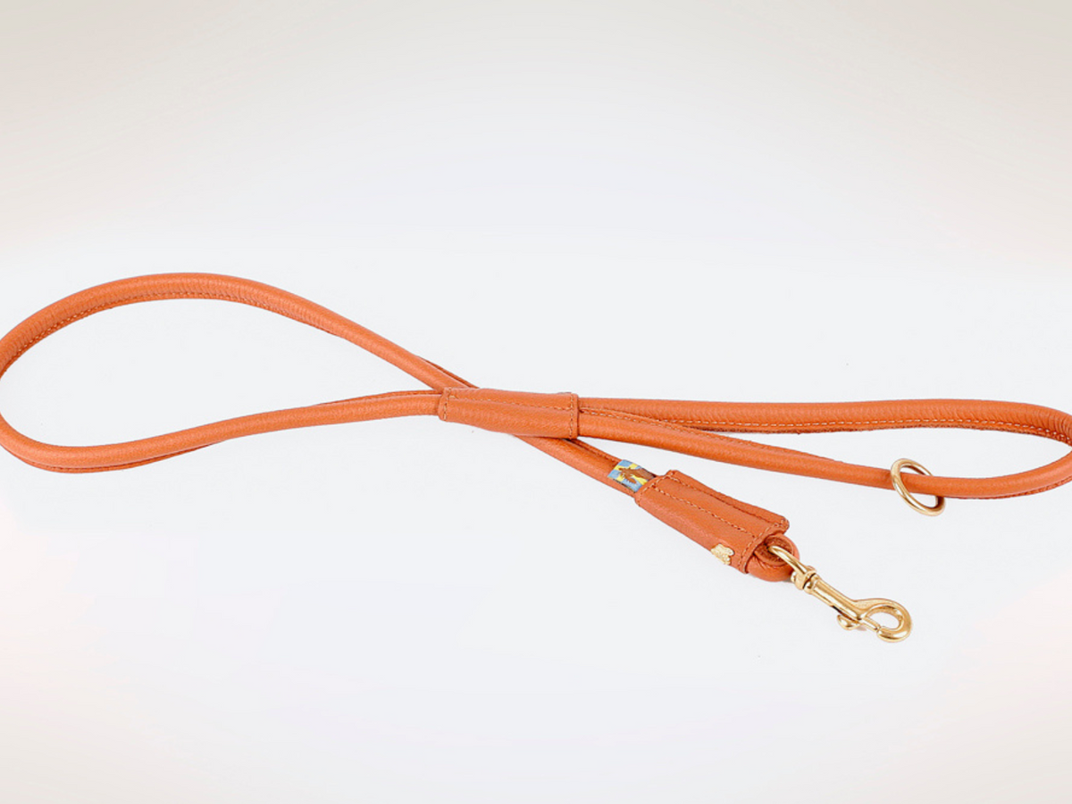 Classic leash with hand loop