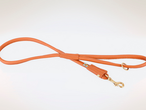 Classic leash with hand loop