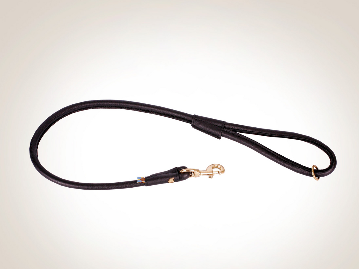 Classic leash with hand loop