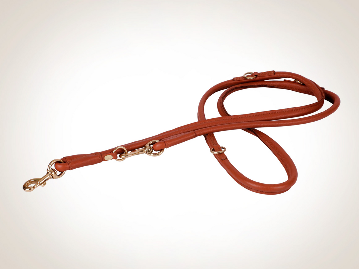 Classic adjustable leash