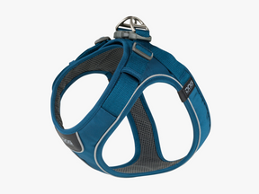 Comfort Walk Go harness