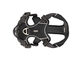 V2 Comfort Walk Pro harness