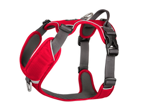 V2 Comfort Walk Pro harness