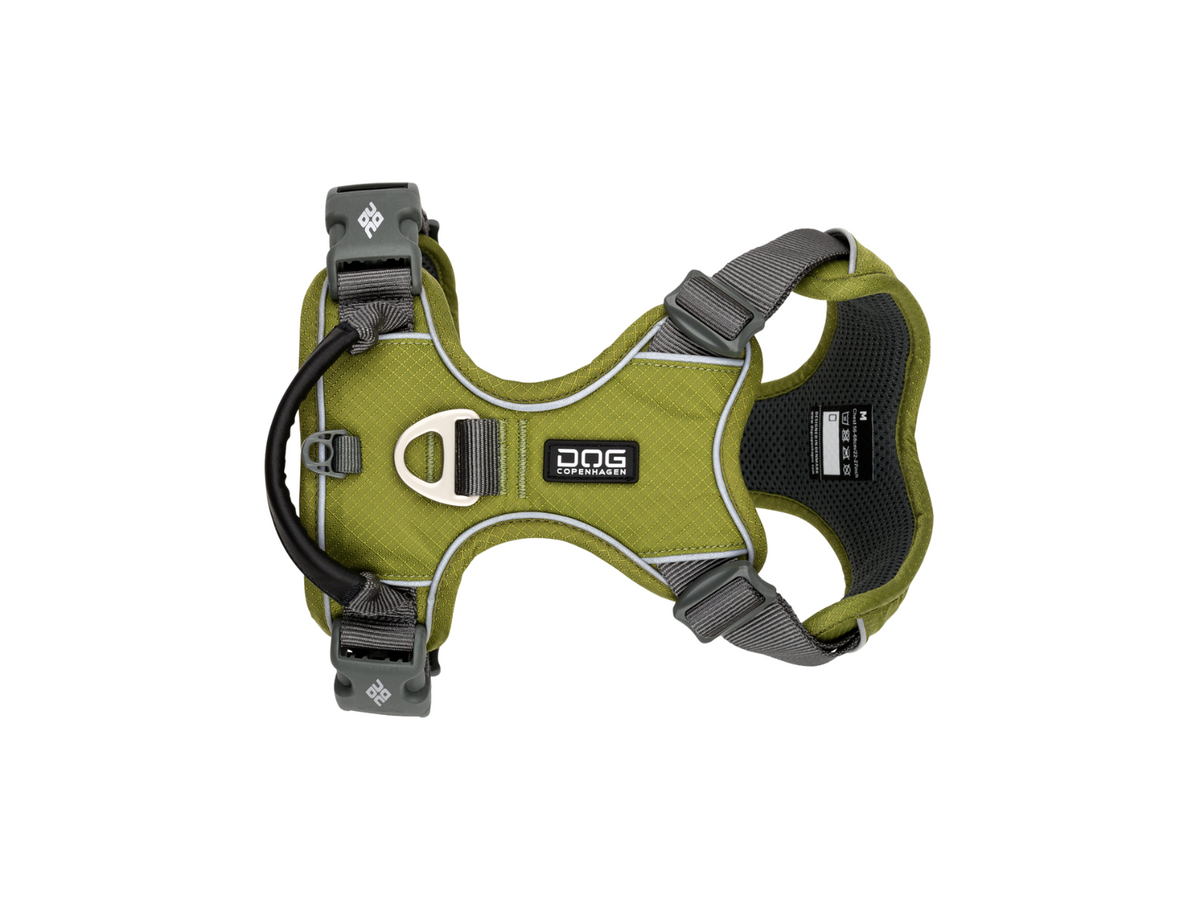 Dog harness V2 COMFORT WALK PRO