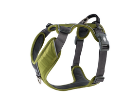 V2 Comfort Walk Pro harness