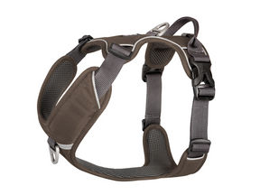 V2 Comfort Walk Pro harness