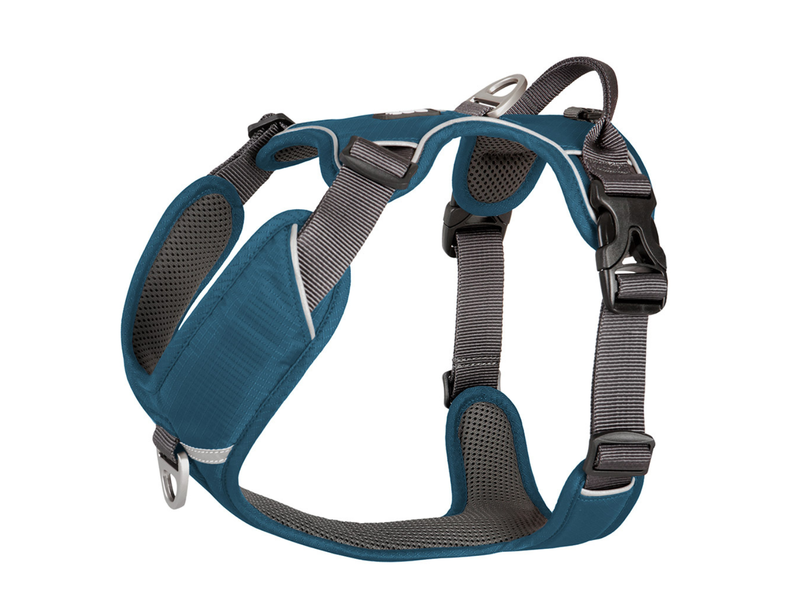 V2 Comfort Walk Pro harness