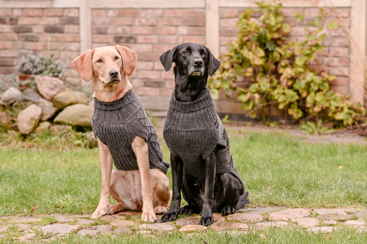 Dog sweater HIMALAYA wool