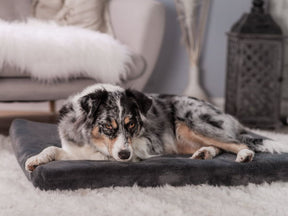 Jokkmokk SilkTouch dog mat