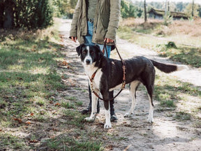 Adjustable outdoor leash