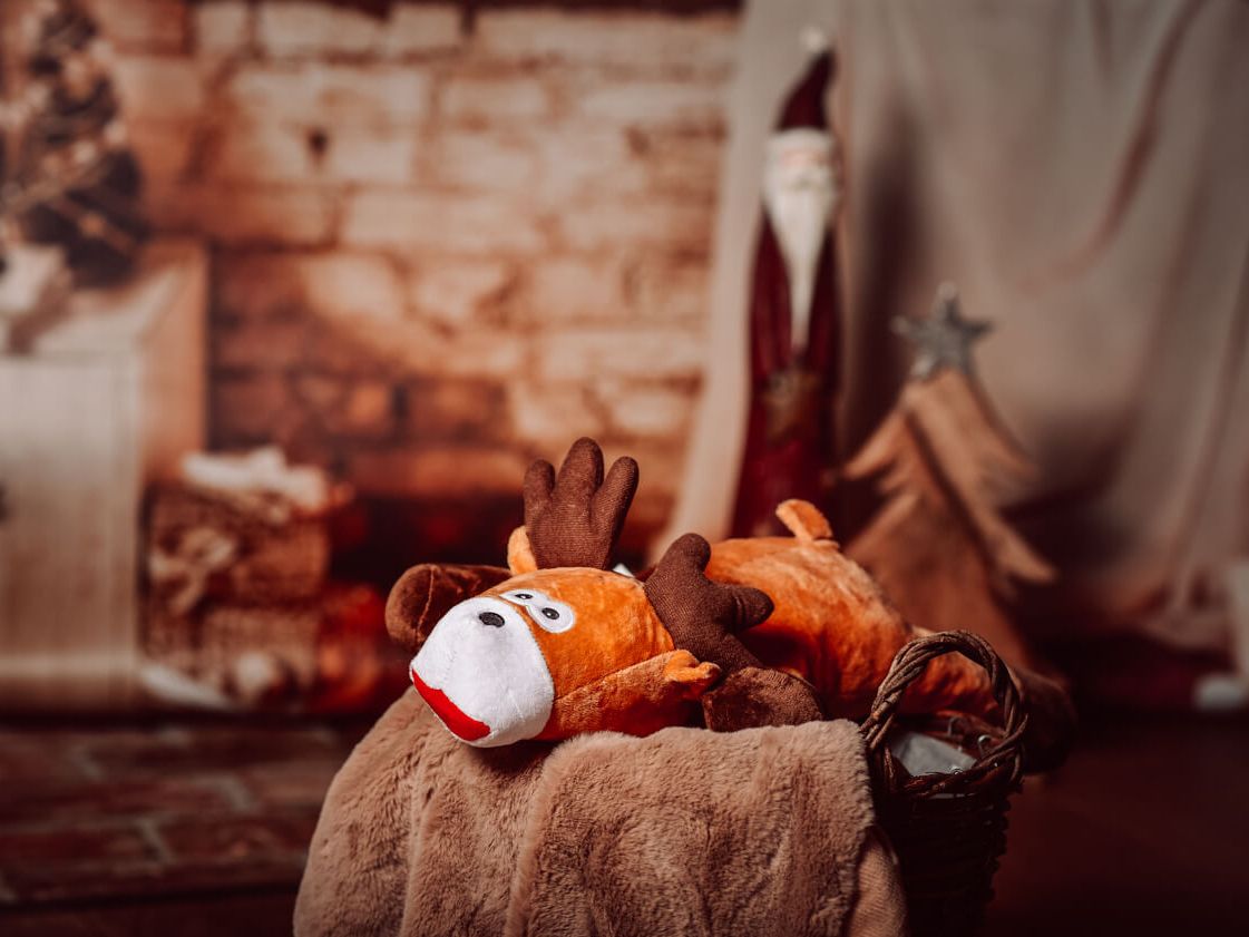 Moose SÖREN