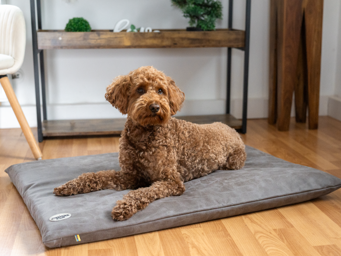 Bodenkissen Sova Dog Bed Floor Cushion Nathaniel Seater Sofa Brown