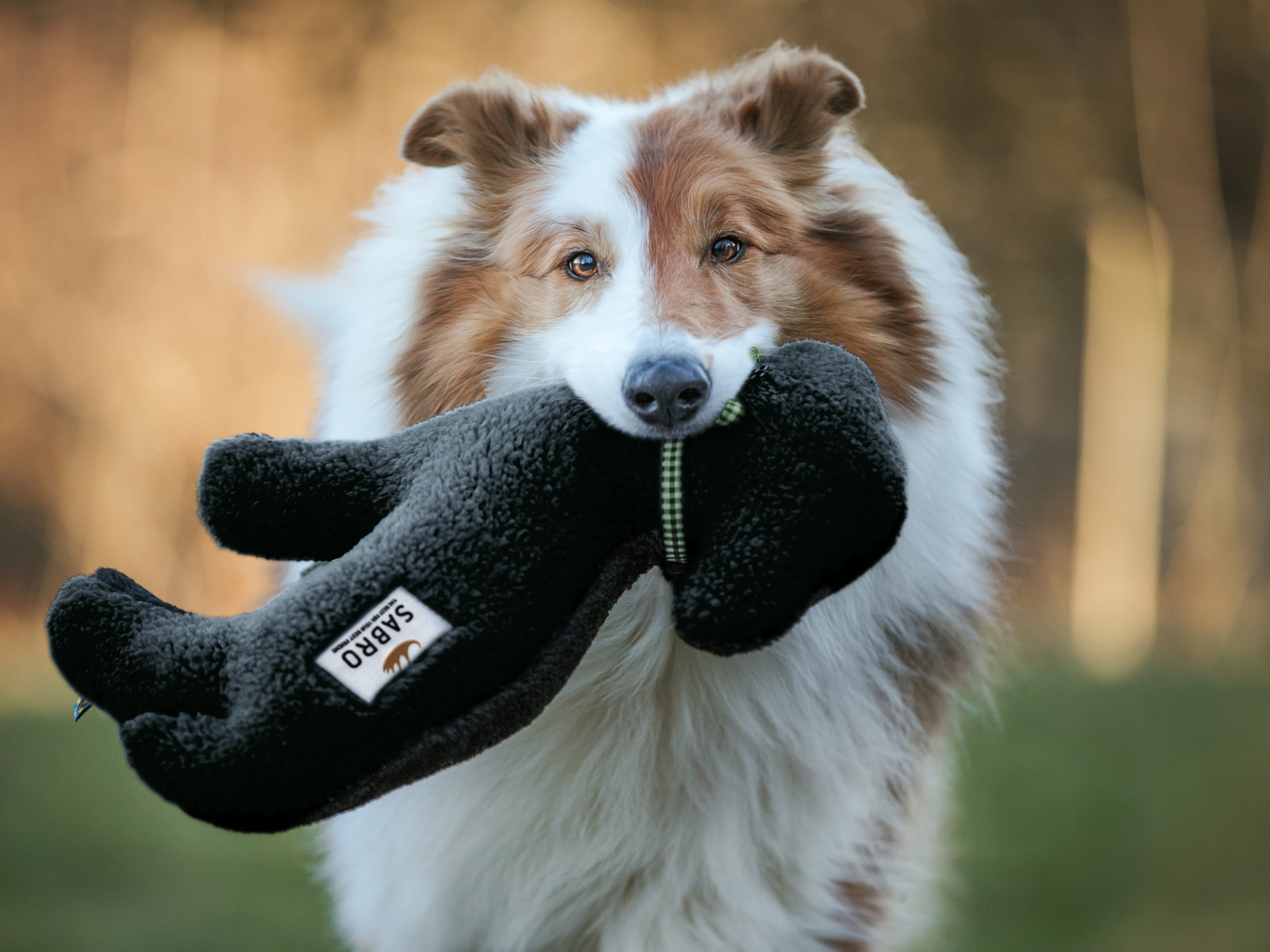 Lamb LOTTE dog toy