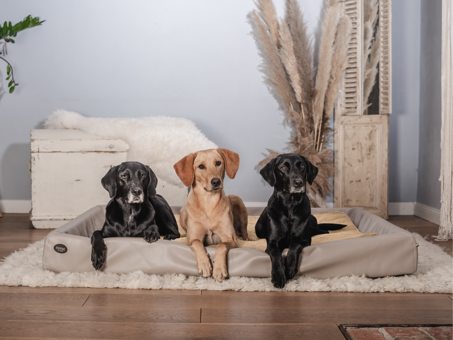 Dog bed KUDDE imitation leather B-goods