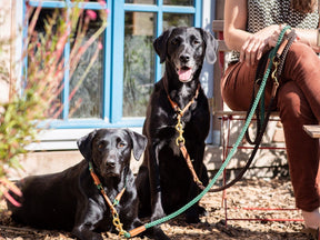 Adjustable outdoor leash