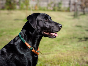 Outdoor round pull collar