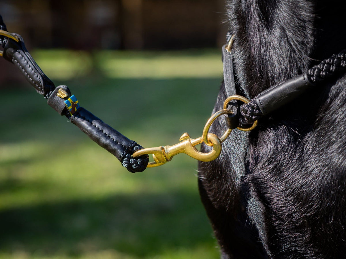 OUTDOOR round pull dog collar