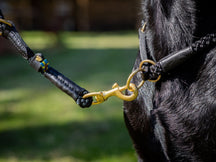 OUTDOOR round pull dog collar