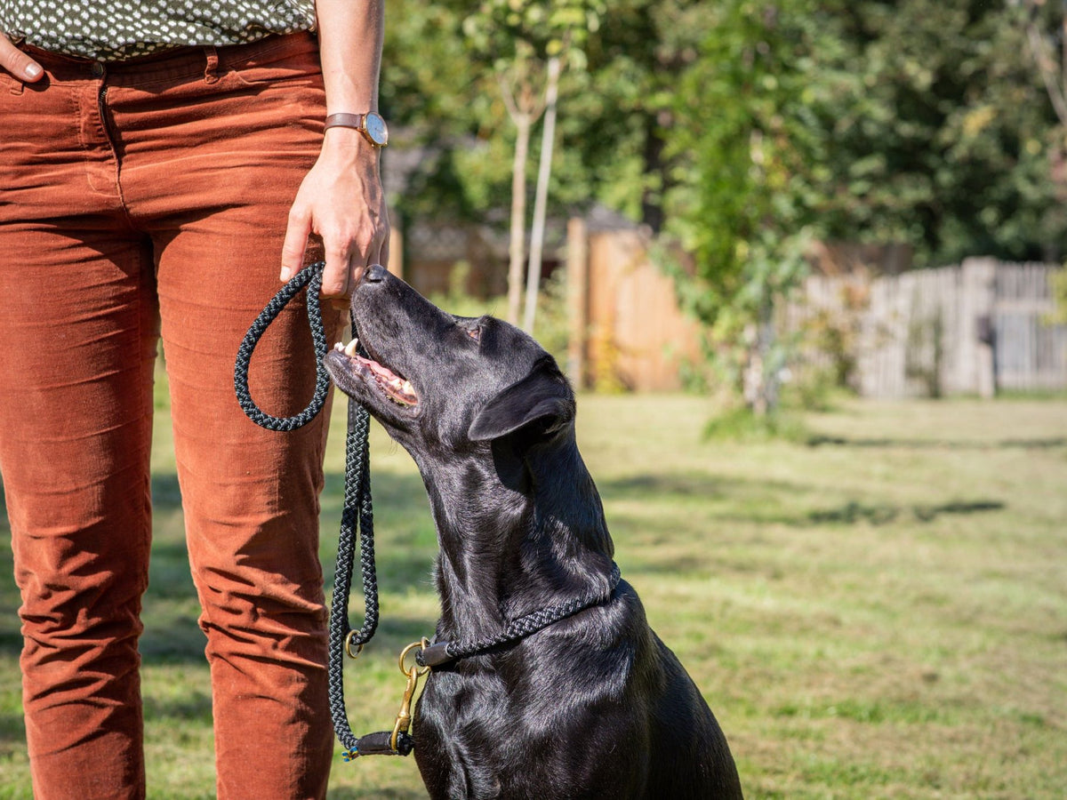 Adjustable outdoor leash