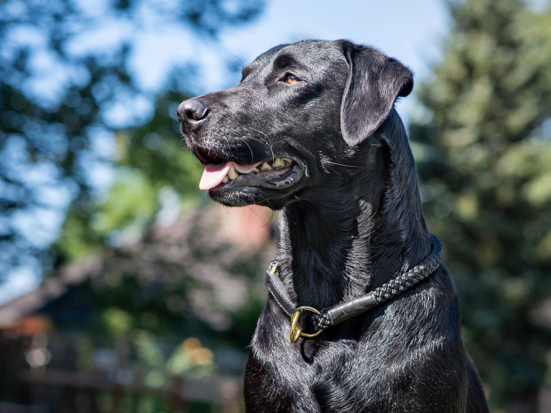 Outdoor round pull collar