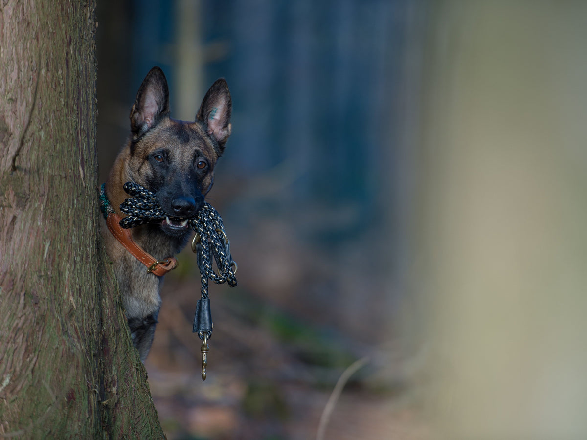 Adjustable outdoor leash