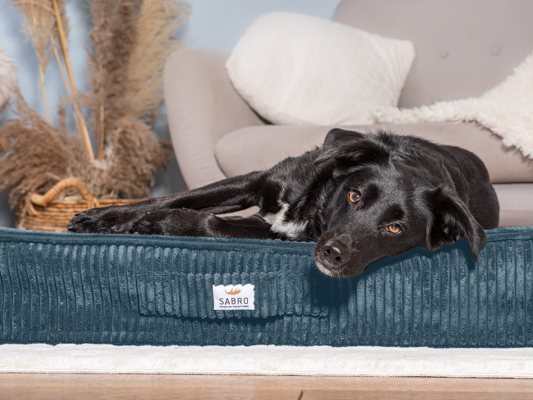 Sova floor cushion for dogs