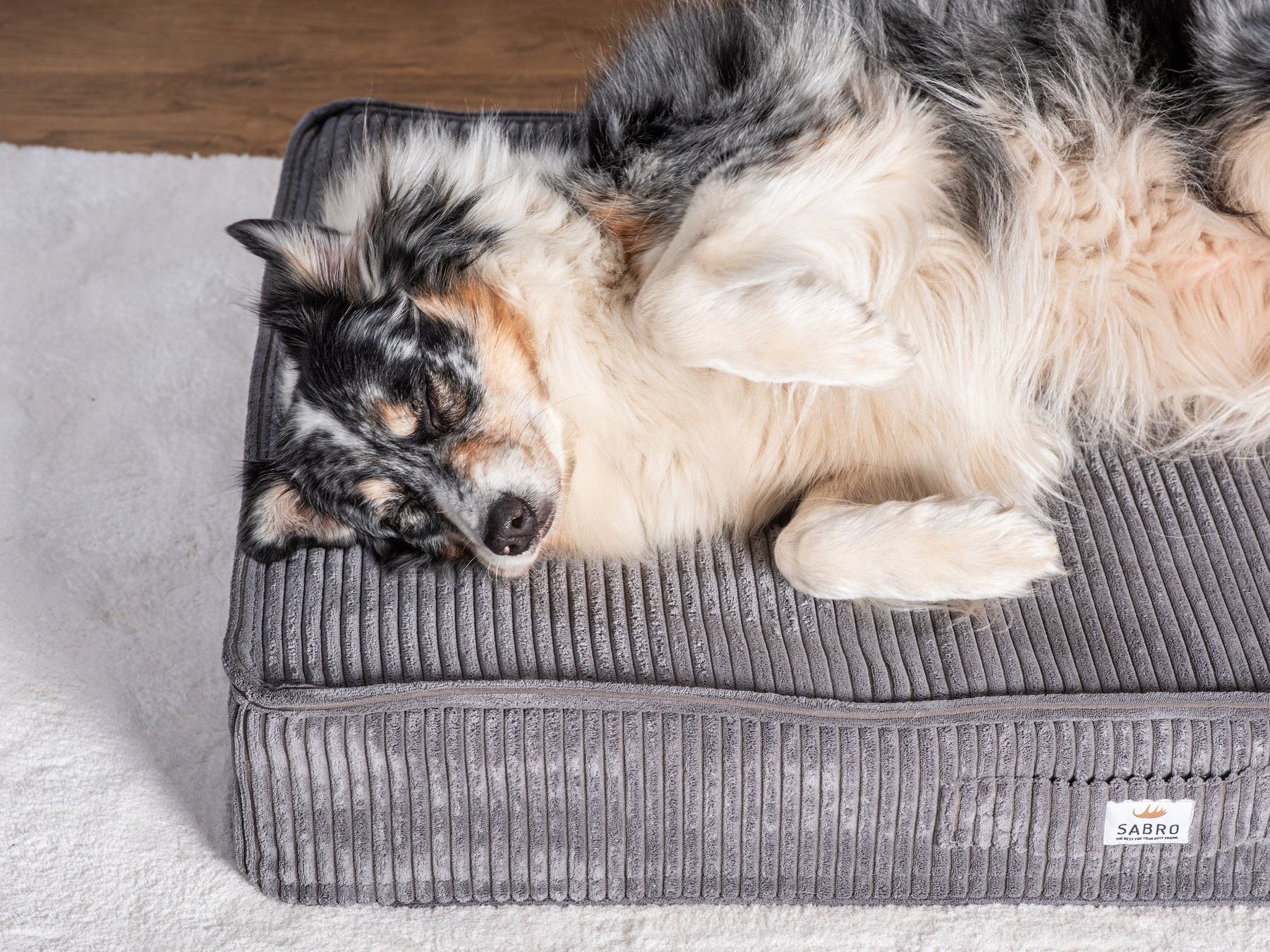 Sova floor cushion for dogs