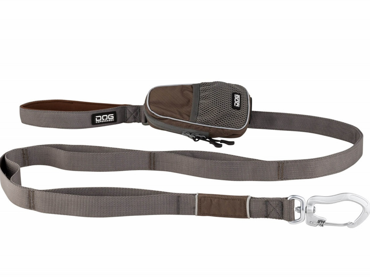 V2 Urban Trail Leash