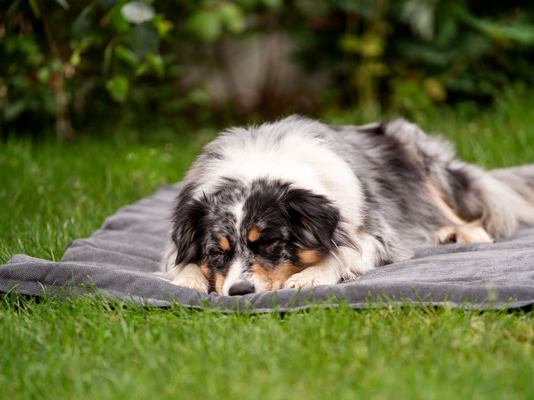 Skolan outdoor mat