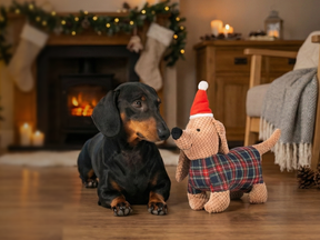 Christmas dachshund LUMI