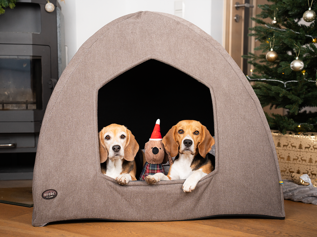 Christmas dachshund LUMI