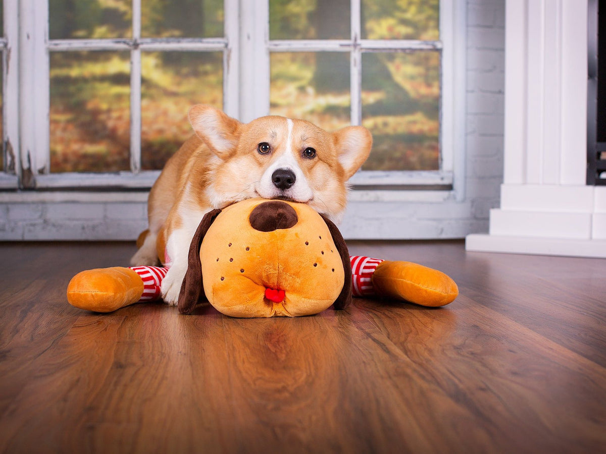 Cuddly dog TOMTE