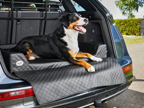 Car dog bed Vagn