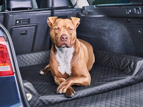 Car dog bed Vagn