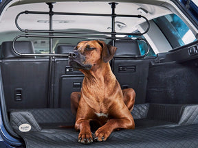 Car dog bed Vagn