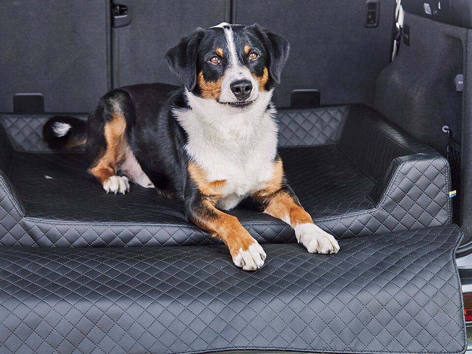 Car dog bed Vagn