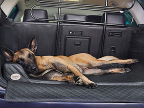 Car dog bed Vagn