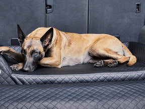 Car dog bed Vagn