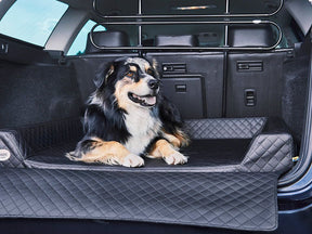 Car dog bed Vagn